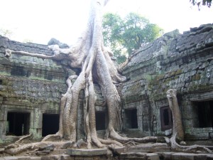 vietnam&cambodia06-07 311