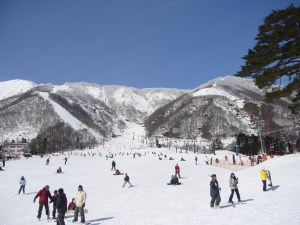 HakubaFeb'07 019