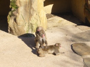 Australia Aug '07 211