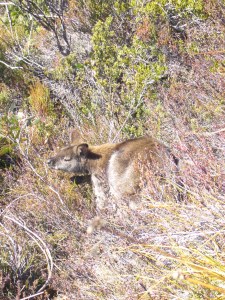 Australia Aug '07 236