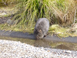 Australia Aug '07 261