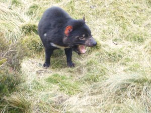 Australia Aug '07 276