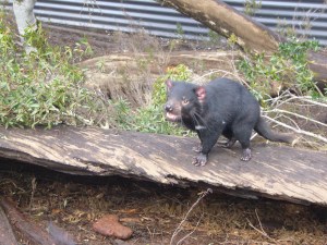 Australia Aug '07 279