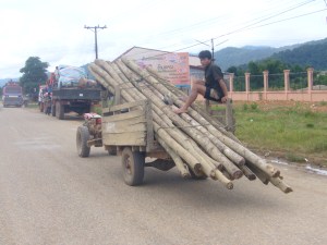 Laos Aug '08 106