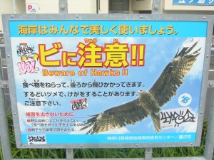 Enoshima 11 Sept '09 001