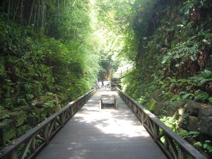 Sarushima 13 Sept '09 009