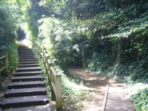 Sarushima 13 Sept '09 013