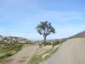 Dec '09 - Jan '10 165