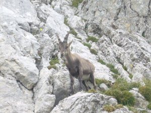 Euro Trip 2010 Pt I: Zurich & Lucerne (Switzerland)