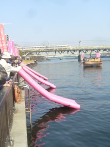 Edo Nagashibina Feb 2011 011