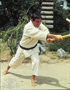 MV5BMTA3MjUyNzE5NzBeQTJeQWpwZ15BbWU3MDMzMjM5NzQ@__V1__SX640_SY817_