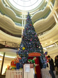 Christmas trip 2011-2012 114