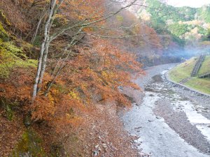 chichibu Nov 2011 003