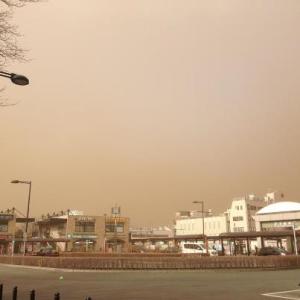 734321_423542101069411_1796489729_n