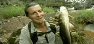 Screen Shot 2013-05-19 at 11.34.23