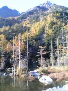 Screen Shot 2014-06-28 at 23.36.34