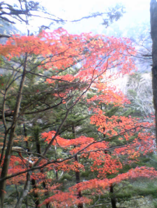 Screen Shot 2014-06-28 at 23.37.09