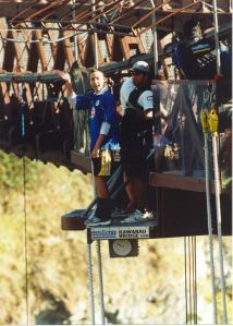 bungy1.1