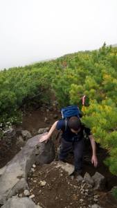 10325236_10153335849045071_3485694716762835201_n