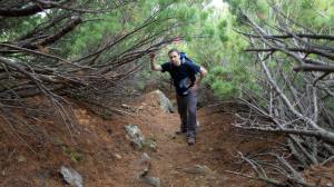 10984094_10153335847785071_1965159710547186553_n