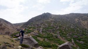 11236470_10153335849235071_7427504851202754373_n