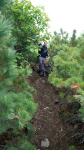 11403095_10153335850680071_4836646759949966144_n