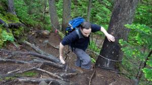 11698548_10153335847580071_8892957637376848997_n