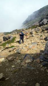 11698667_10153335849325071_2473566330232911664_n