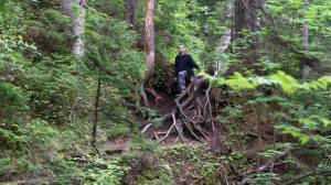 11698682_10153335850990071_7591048797908704314_n