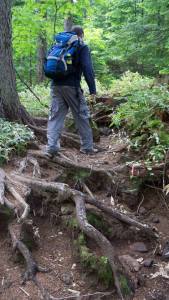 11701137_10153335843690071_4659146557791606392_n