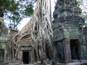 vietnam&cambodia06-07 319