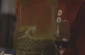 Screen Shot 2015-10-13 at 13.39.50