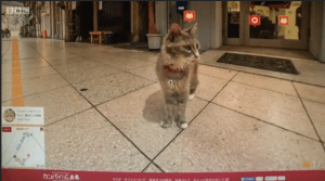 Screen Shot 2015-10-21 at 00.13.09