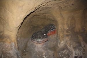 13059690_720750948027996_1972687707_n