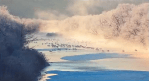 screen-shot-2016-10-05-at-10-42-26