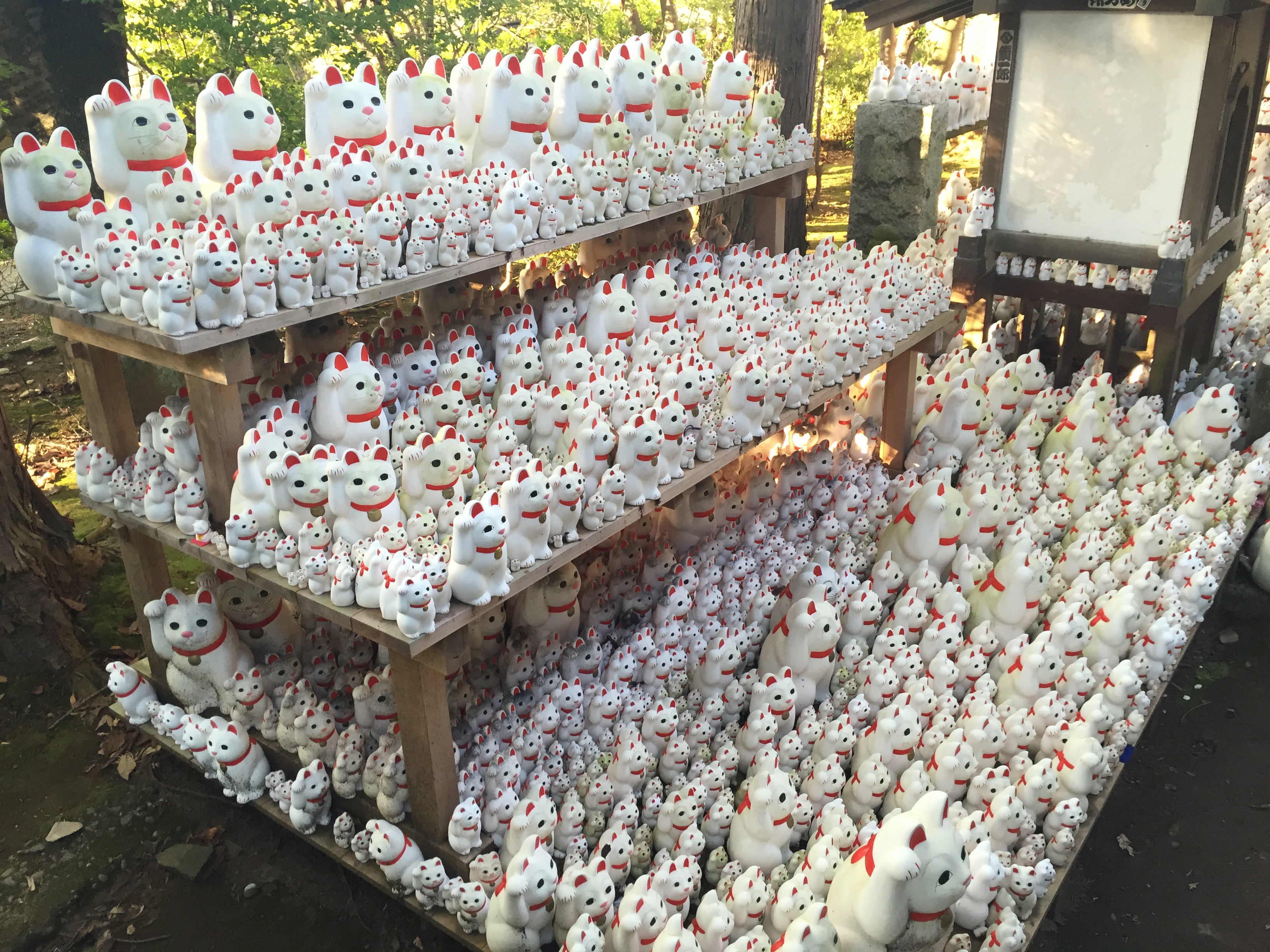 This Tokyo Temple Is The Purr-fect Place For Cat Lovers | Tokyo