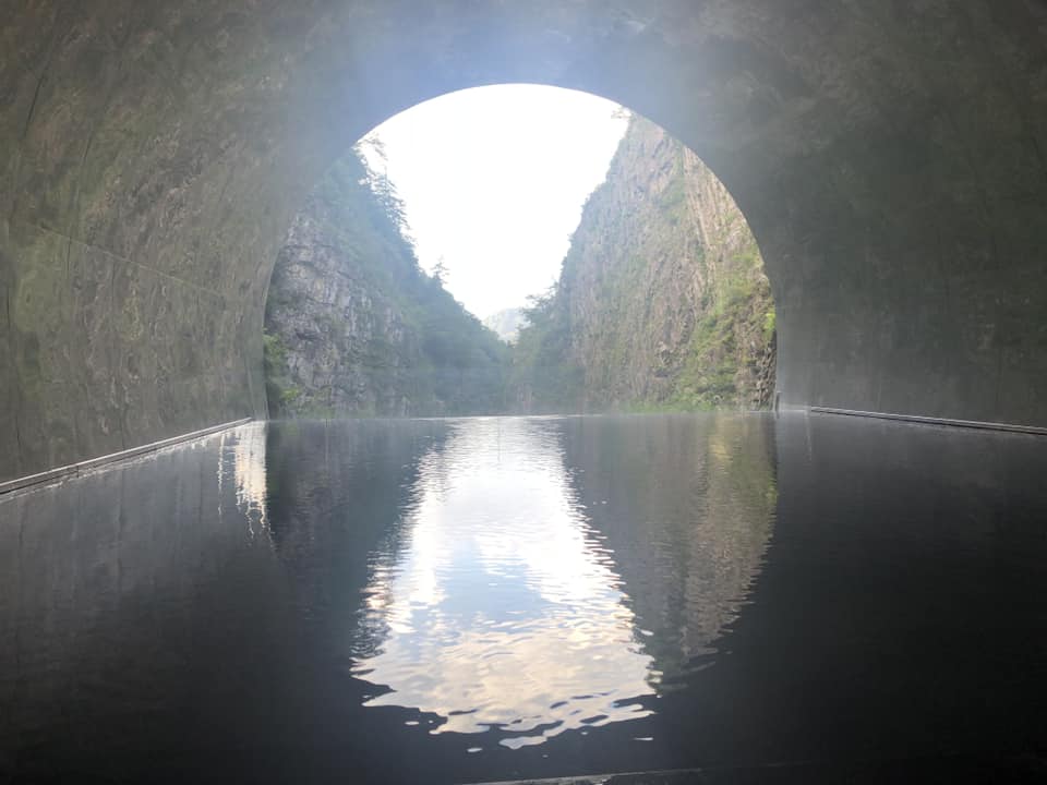 This Tunnel Of Light Is The Picture Perfect Place For The