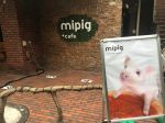 mipig cafe Harajuku pig cafe&nbsp;1